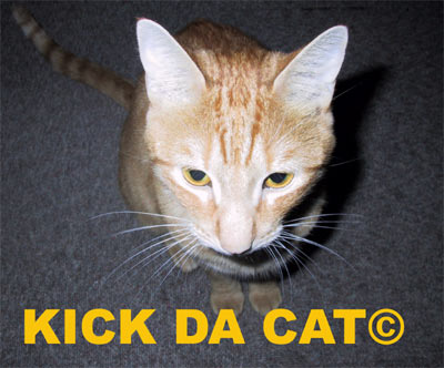 http://marcetmarie.fr/marie/kickdacat.jpg