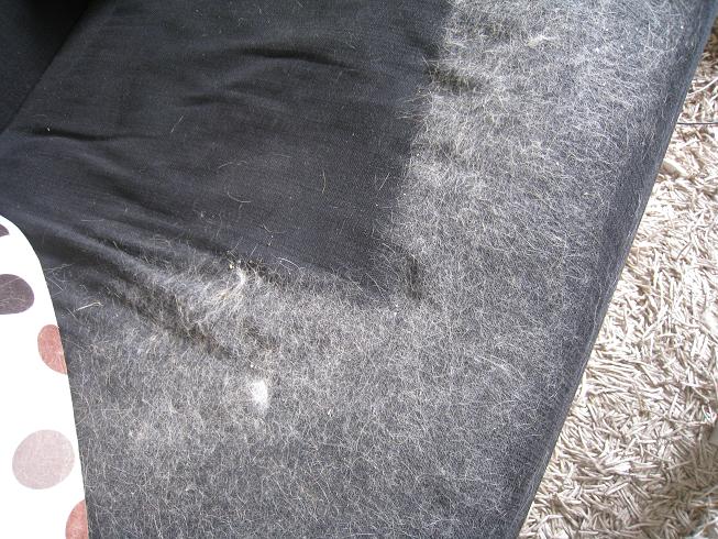 http://marcetmarie.fr/marie/moquette1.JPG