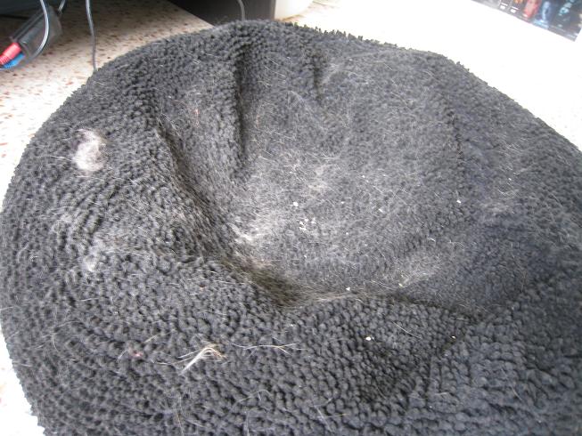 http://marcetmarie.fr/marie/moquette2.JPG